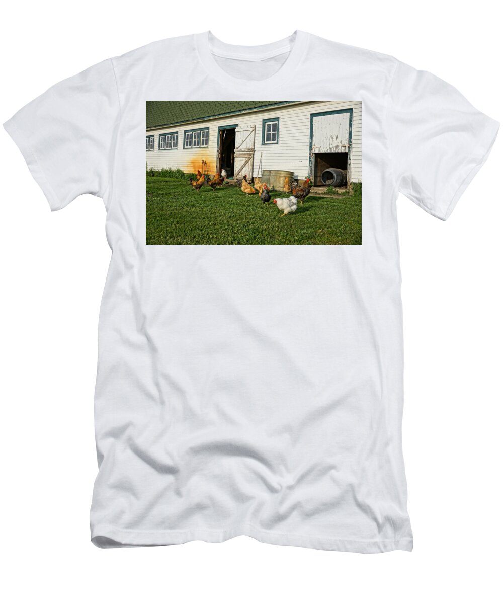 Chickens T-Shirt featuring the photograph Chickens By The Barn by Steven Clipperton