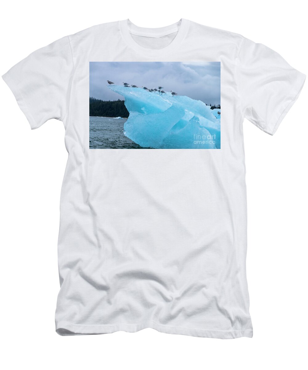 Seagulls T-Shirt featuring the photograph Chillin by Louise Magno