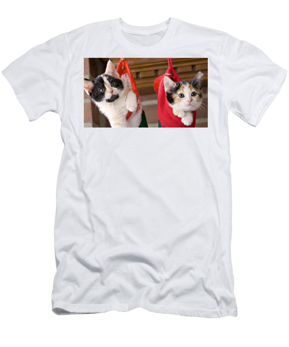 Christmas T-Shirt featuring the photograph Christmas by Jackie Russo