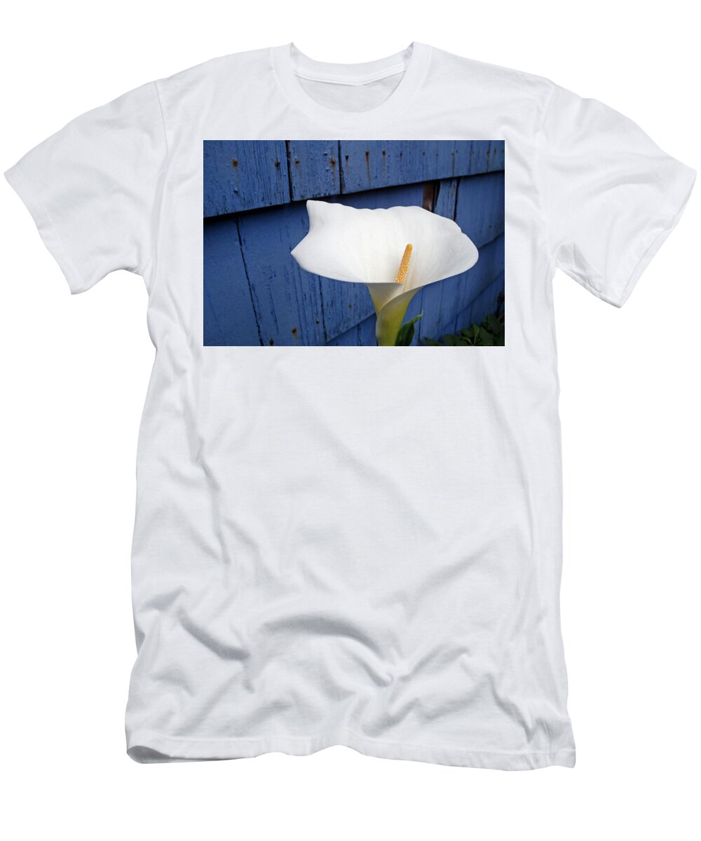 Coast T-Shirt featuring the photograph Coastal Cow Lilley by Doug Davidson