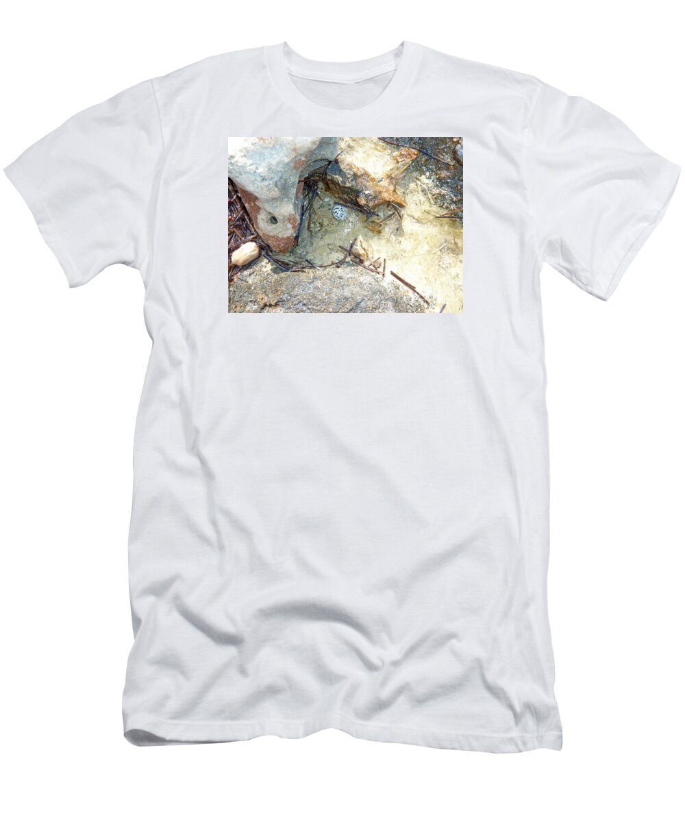 Photography T-Shirt featuring the photograph Coastal Shell by Francesca Mackenney