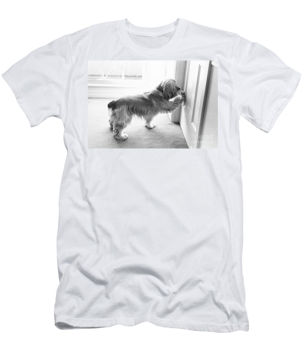 Animal T-Shirt featuring the photograph Cocker Spaniel Opening A Door by Lynn Lennon