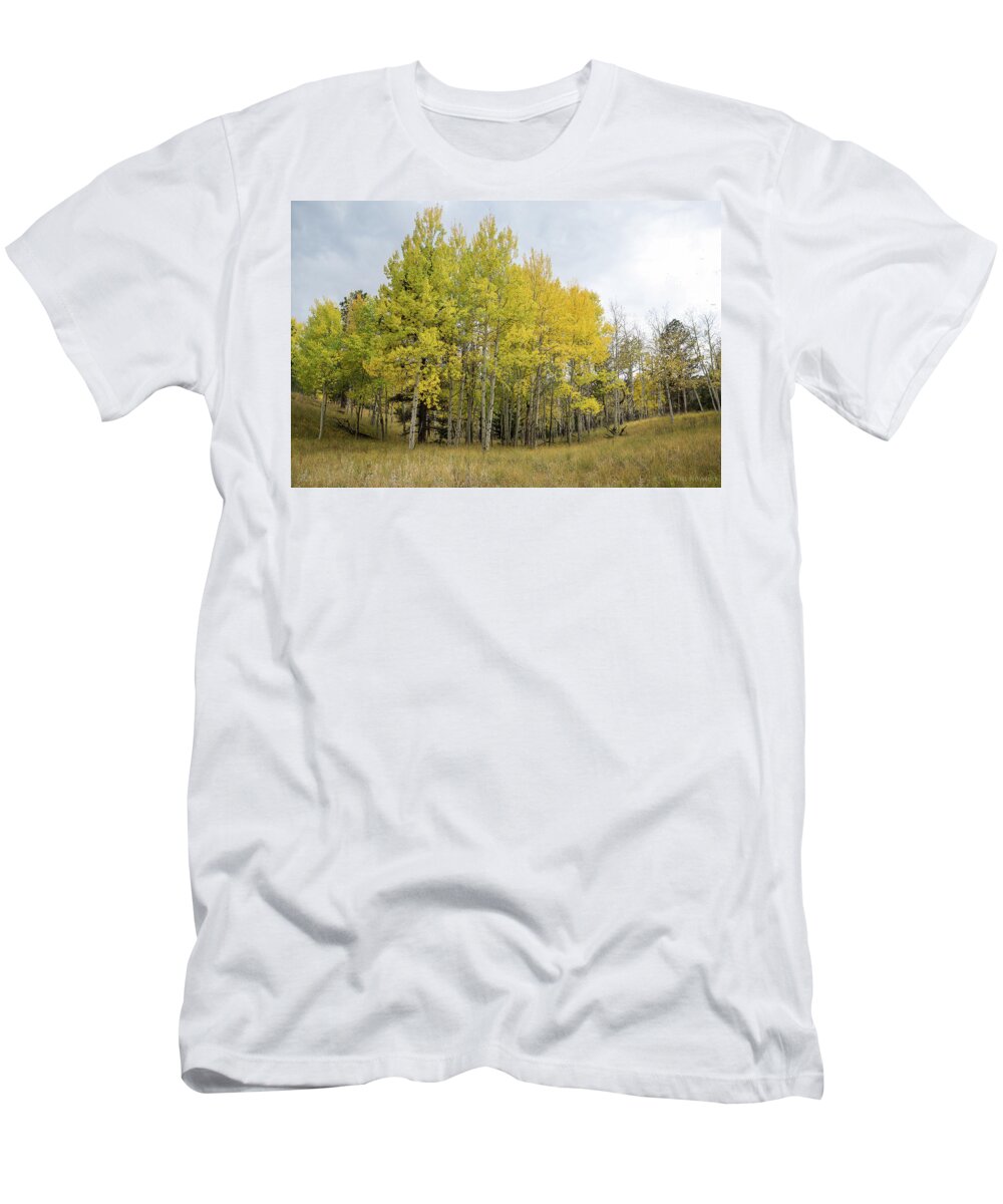 Colorado T-Shirt featuring the photograph Colorado Aspens in Autumn by Tim Newton