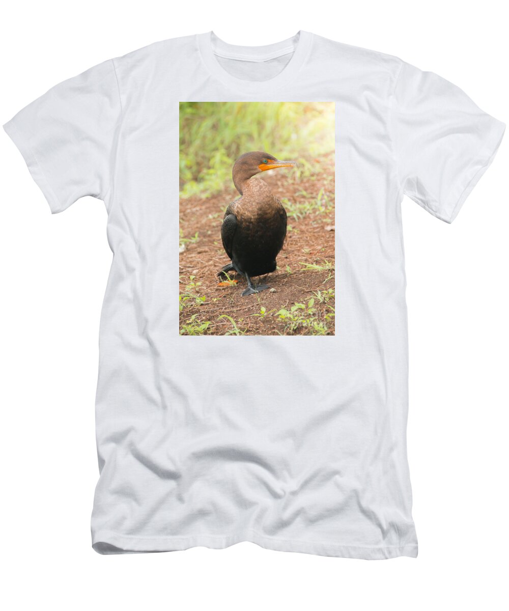 Alone T-Shirt featuring the photograph Cormorant by Amanda Mohler