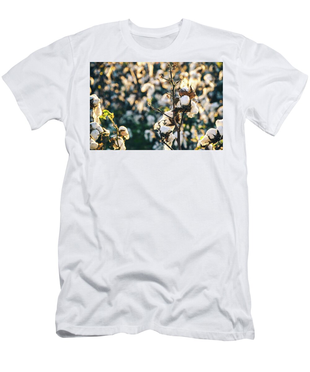 Fluffy T-Shirt featuring the photograph Cotton Field 21 by Andrea Anderegg