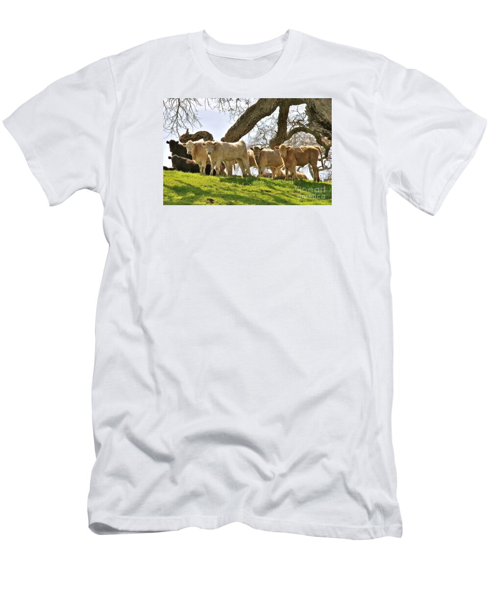 Cows T-Shirt featuring the photograph Cows Under Oak #2 by Amy Fearn