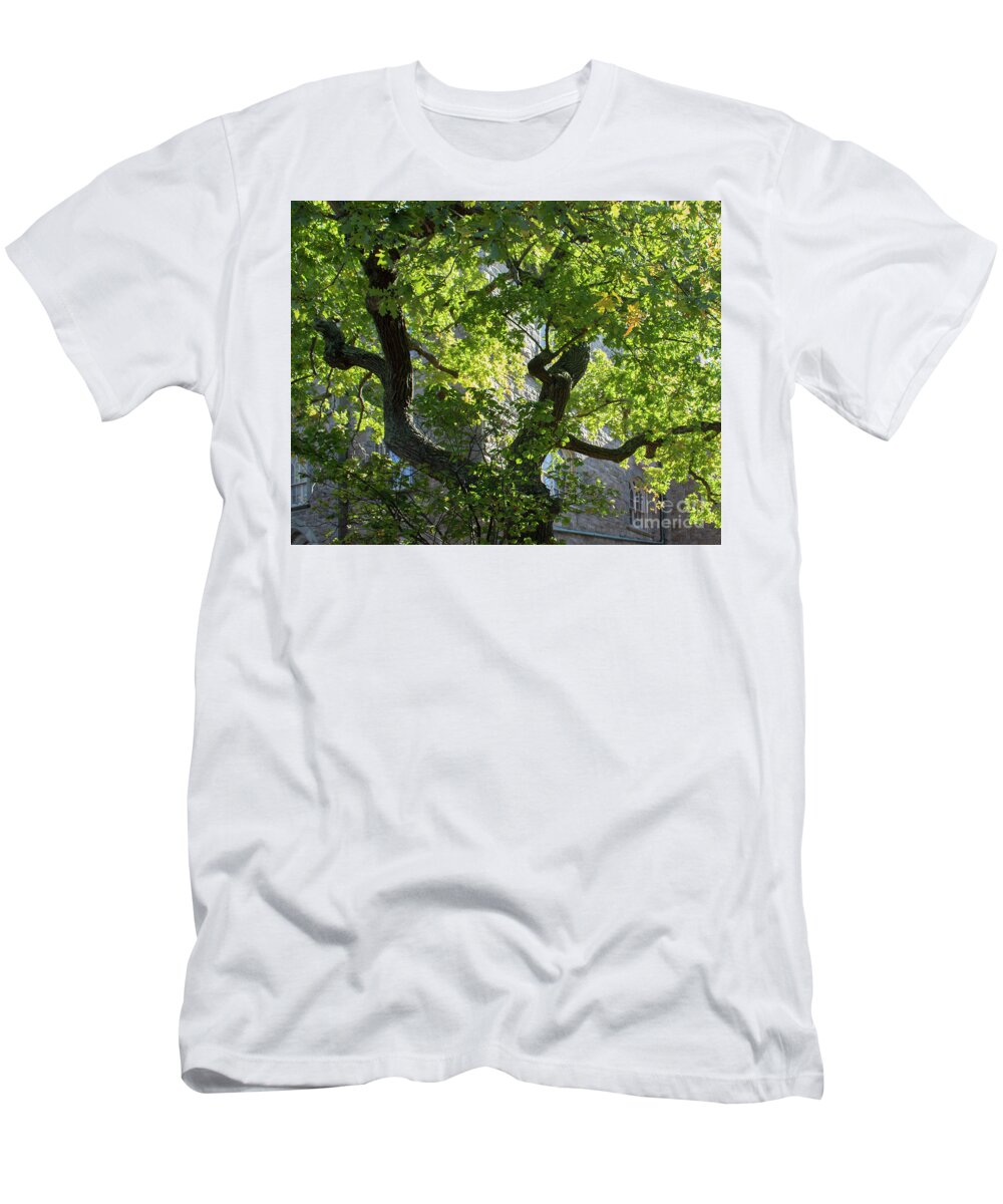 Tree T-Shirt featuring the photograph Crooked Trunk by Cheryl Del Toro
