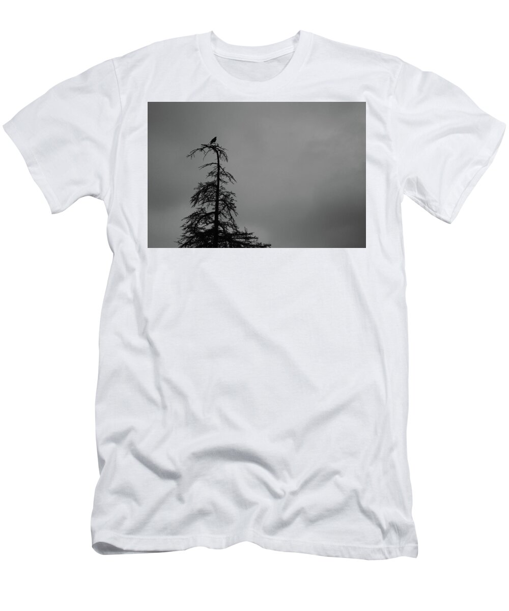 Bird T-Shirt featuring the photograph Crow Perched on Tree Top - Black and White by Matt Quest
