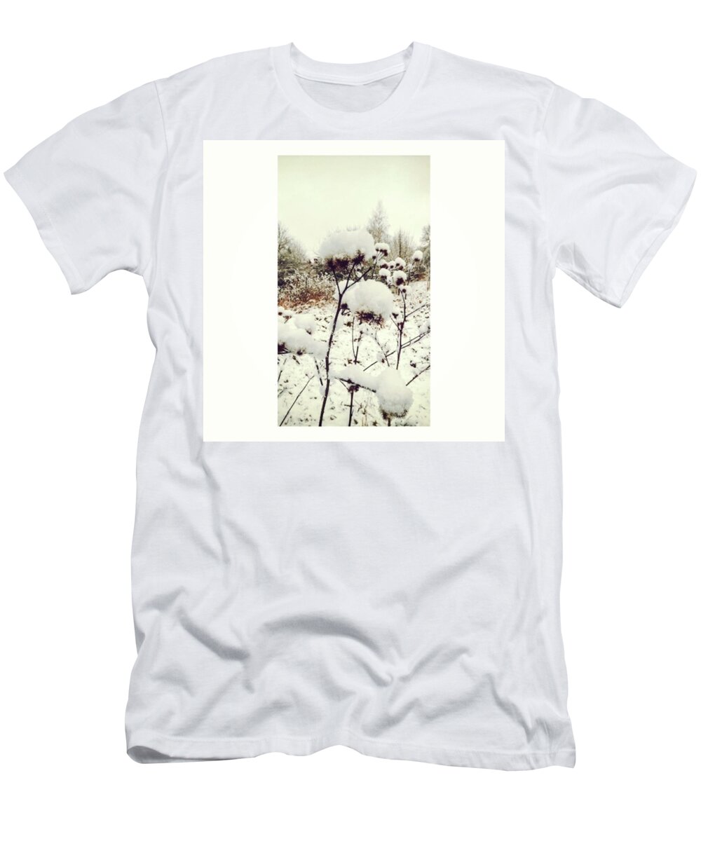 Plants T-Shirt featuring the photograph Crowns Of Snow

#winter #snow #floral by Mandy Tabatt