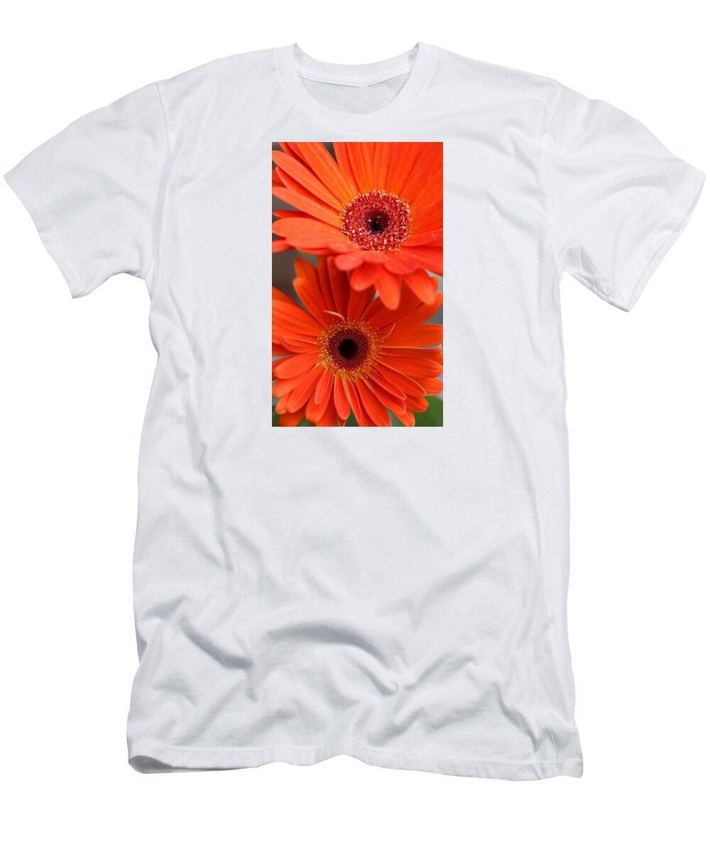 Orange Flower T-Shirt featuring the photograph Gerbera Orange by Gina Fitzhugh