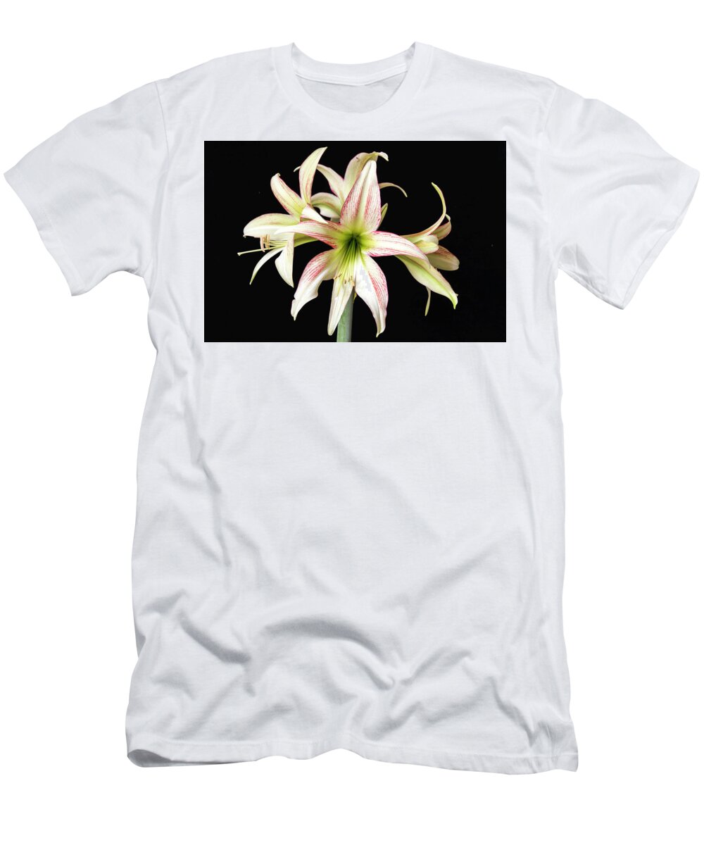 Flower T-Shirt featuring the photograph Dainty and soft. by Usha Peddamatham