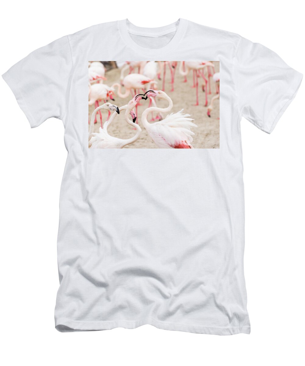 Flamingo T-Shirt featuring the photograph Dancing Beak to Beak by Alex Lapidus