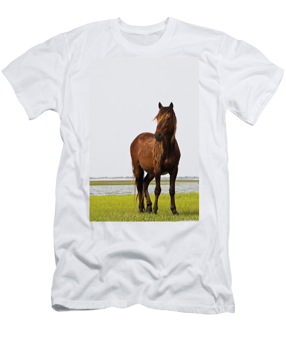 Wild T-Shirt featuring the photograph Dark Stallion by Bob Decker