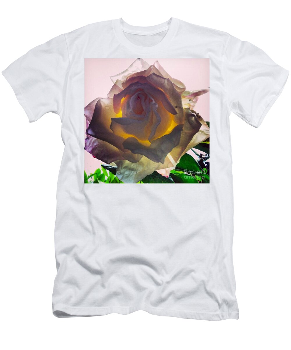 Rose T-Shirt featuring the photograph Daybreak by Denise Railey