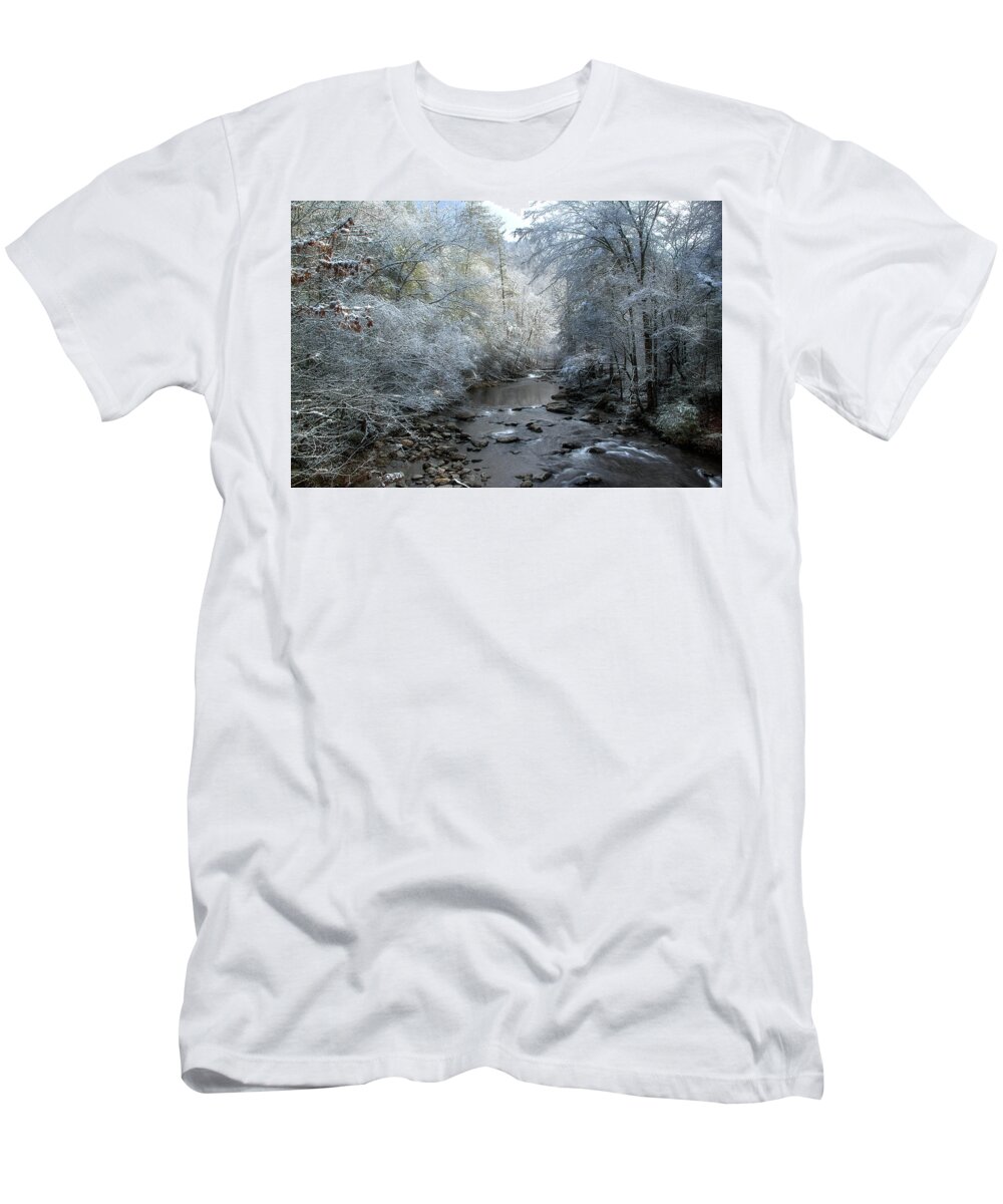 Winter Scene T-Shirt featuring the photograph December by Mike Eingle