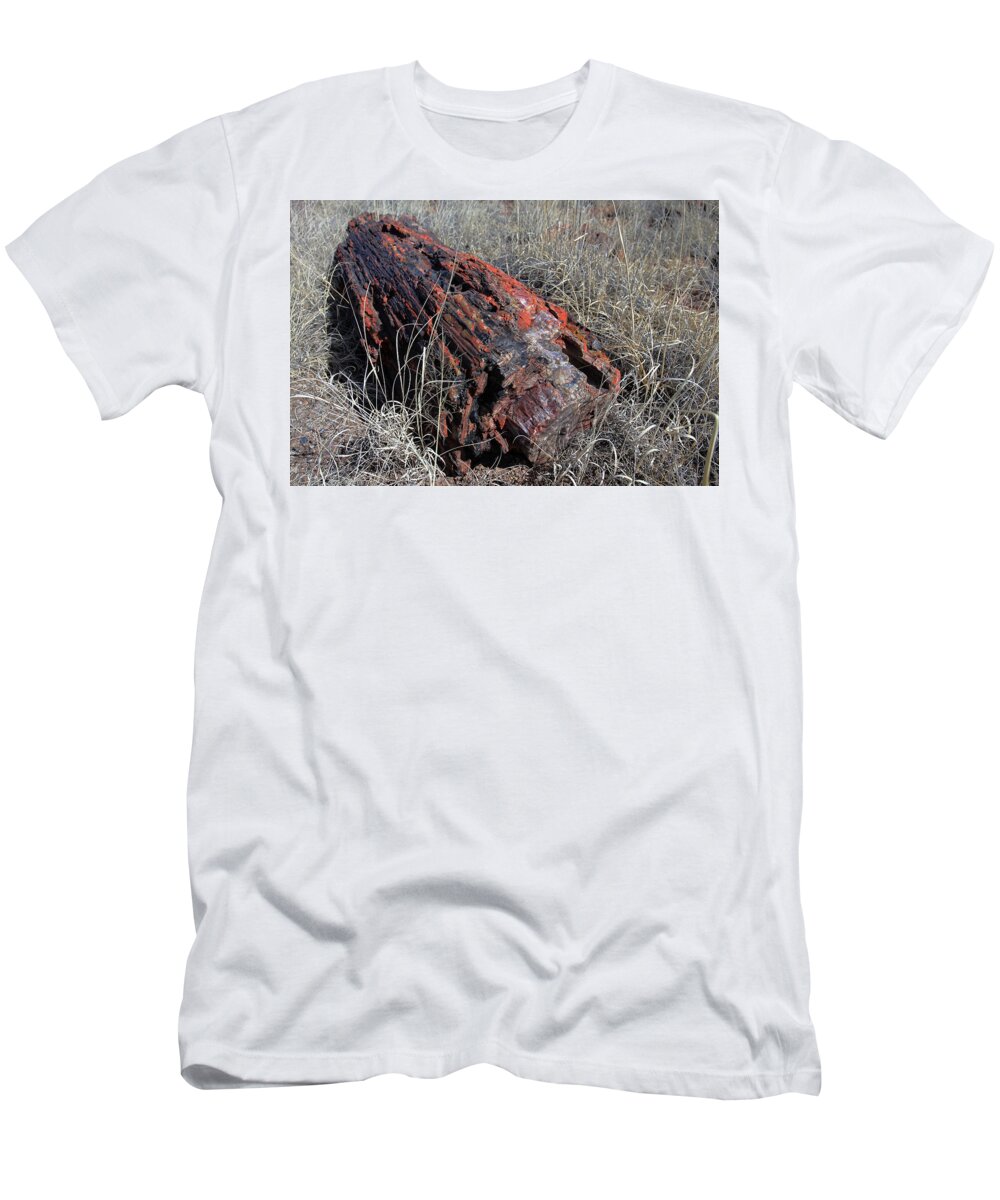 Petrified Forest T-Shirt featuring the photograph Defying Eternity by Gary Kaylor