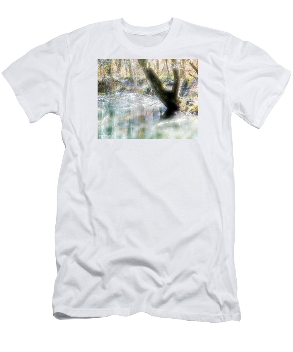 Degenried T-Shirt featuring the photograph Degenried Switzerland by Mimulux Patricia No