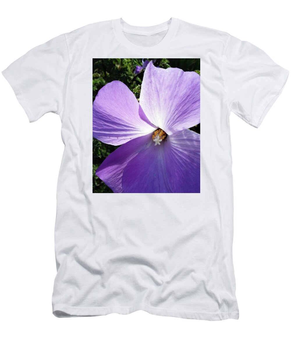 Delicate T-Shirt featuring the photograph Delicate Flower by Barbara J Blaisdell
