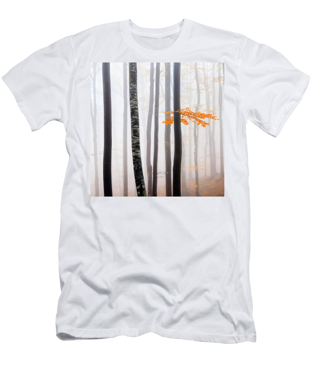 Balkan Mountains T-Shirt featuring the photograph Delicate Forest by Evgeni Dinev