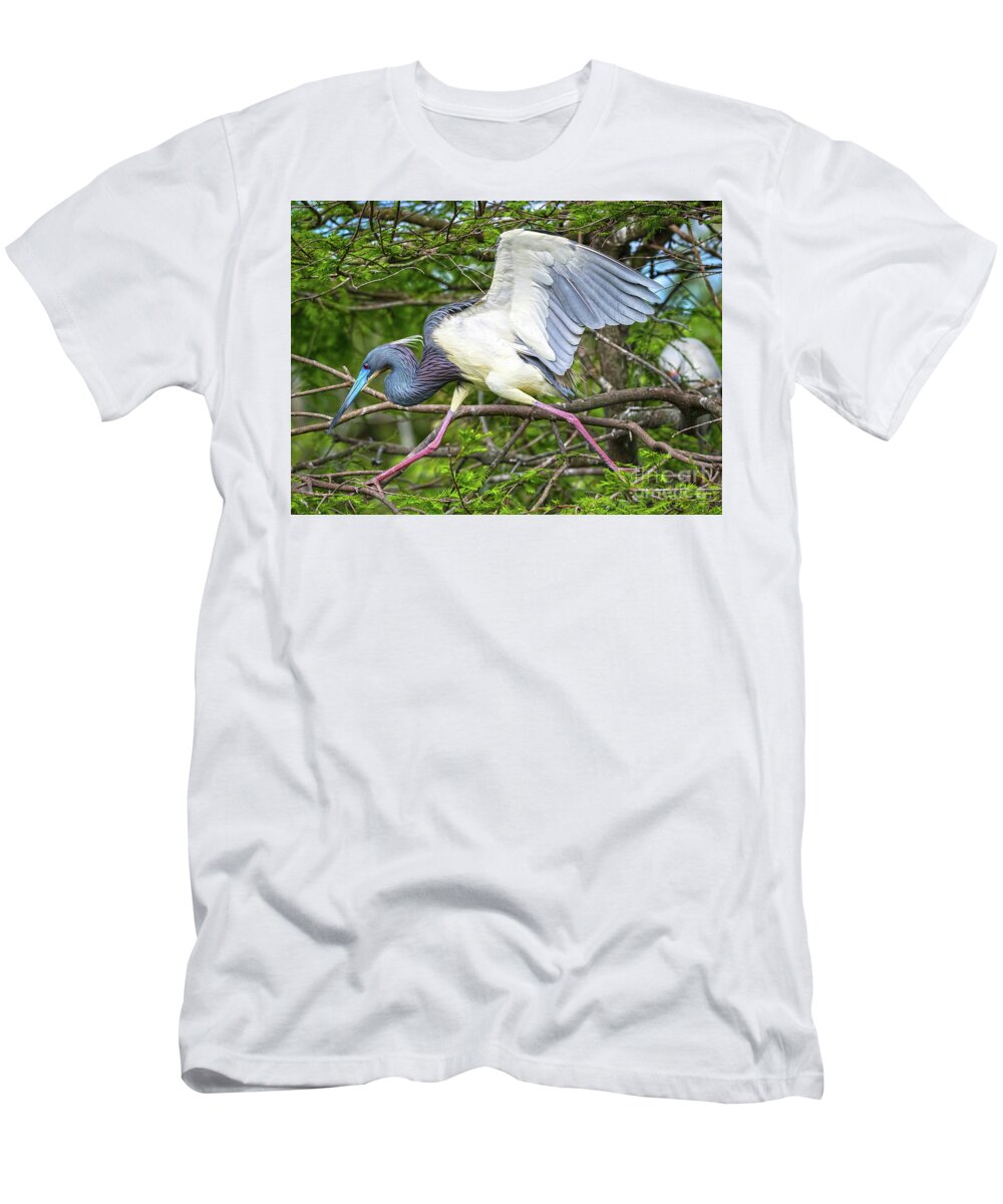 Herons T-Shirt featuring the photograph Determination by DB Hayes