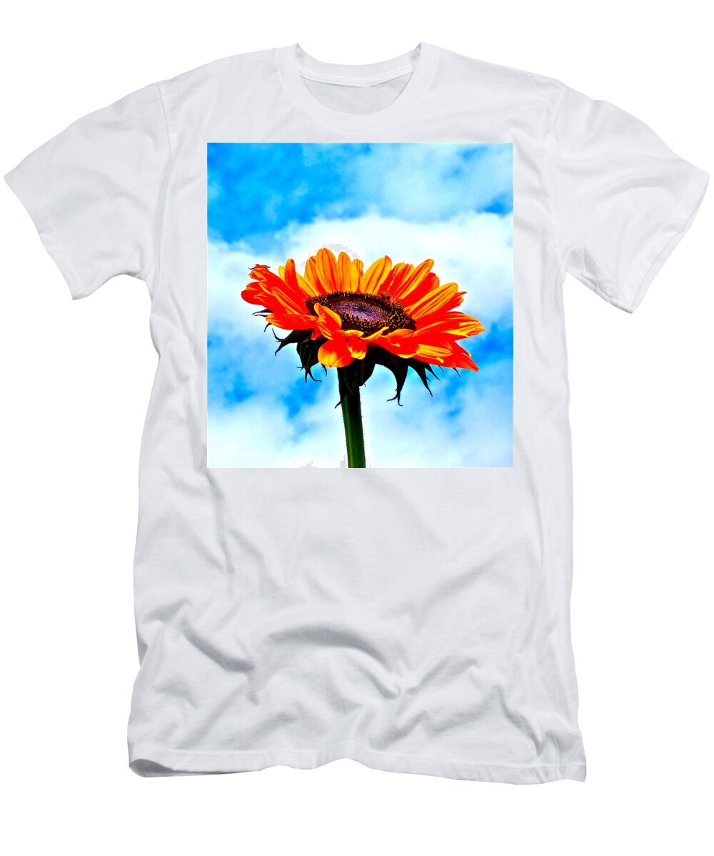 Photograph Of Sunflower With Blue Sky T-Shirt featuring the photograph Devotion by Gwyn Newcombe