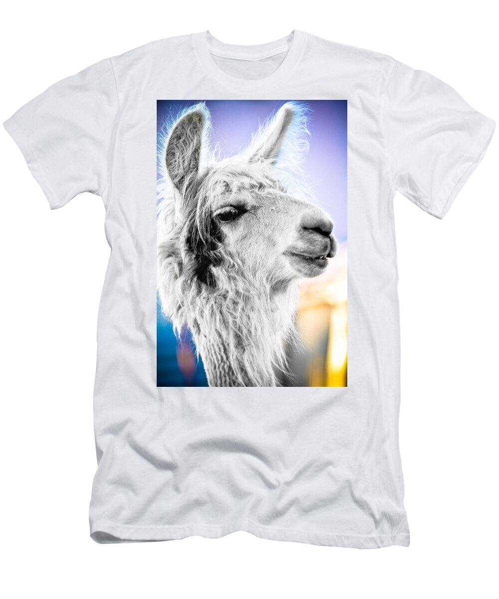 Llama T-Shirt featuring the photograph Dirtbag Llama by TC Morgan