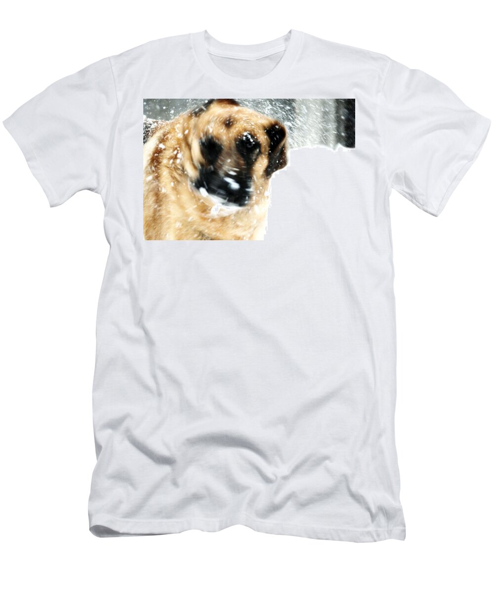 Animals T-Shirt featuring the photograph Dog Blizzard - German Shepherd by Angie Tirado