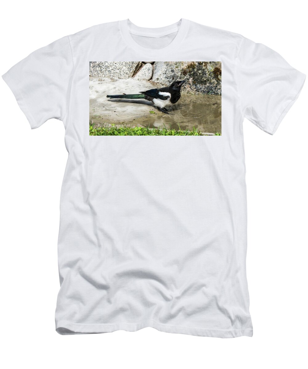 Drinking Magpie T-Shirt featuring the photograph Drinking by Torbjorn Swenelius
