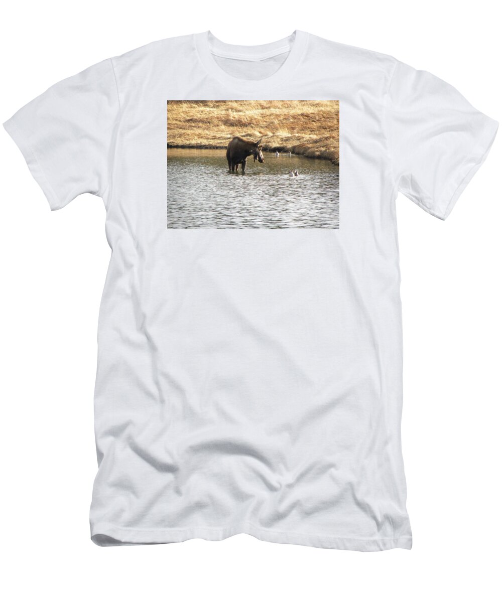 Animal T-Shirt featuring the photograph Ducks - Moose Rollinsville CO by Margarethe Binkley