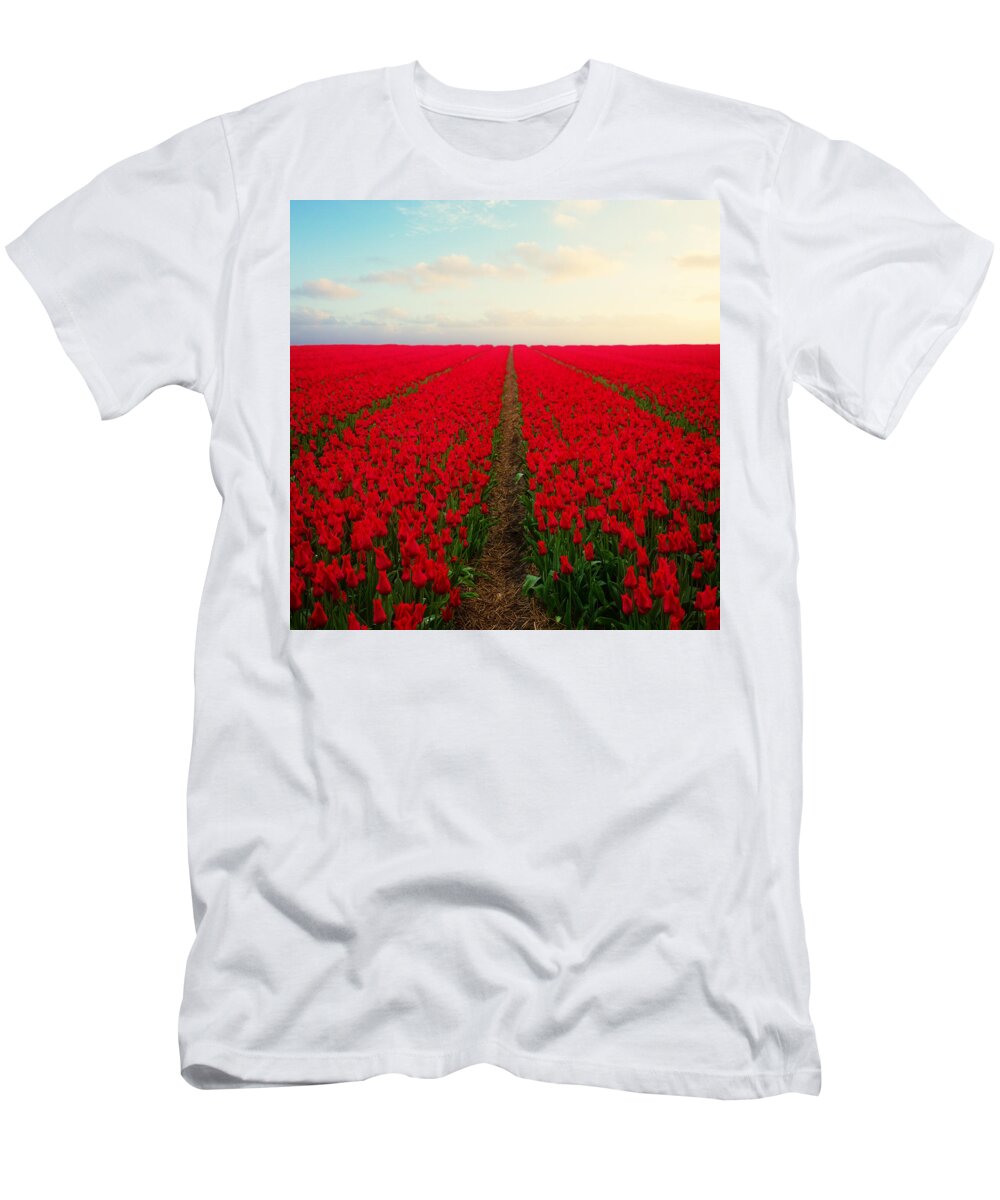 Tulip T-Shirt featuring the photograph Dutch red Tulips by Anastasy Yarmolovich