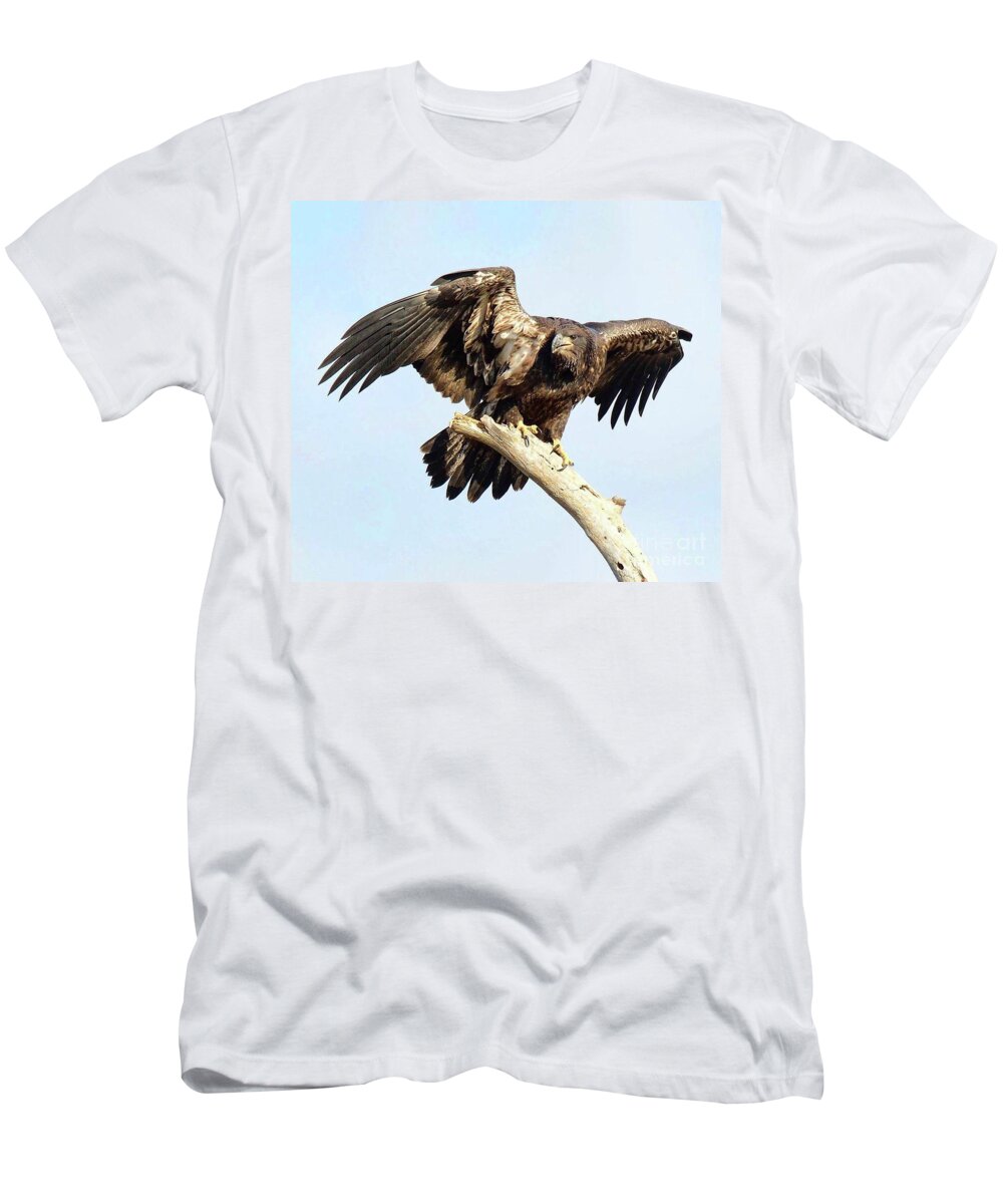Bald Eagle T-Shirt featuring the photograph E9 fierce look by Liz Grindstaff