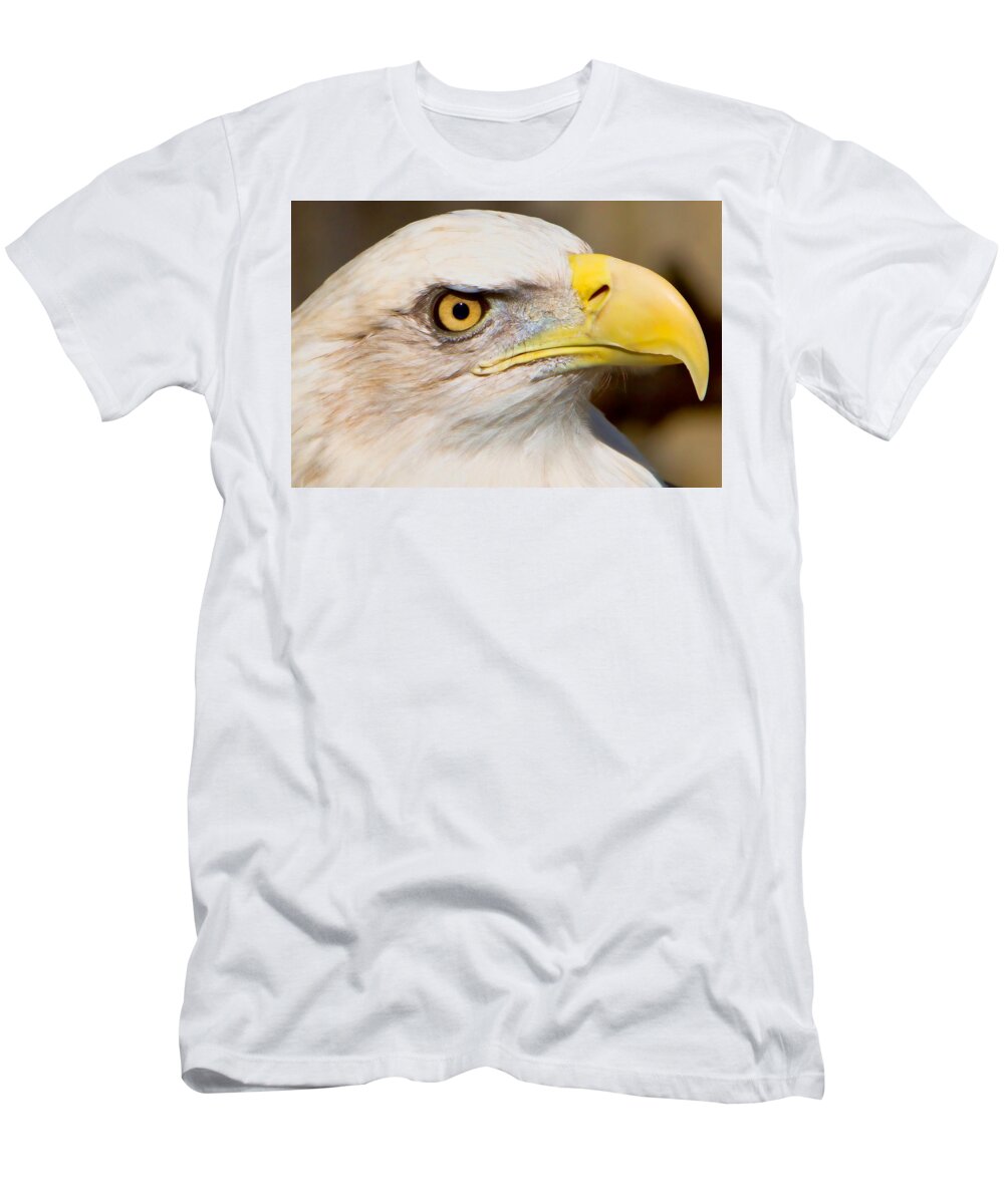 American Eagle T-Shirt featuring the photograph Eagle Eye by William Jobes