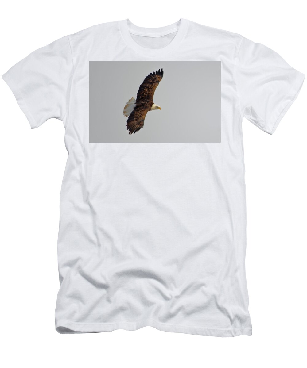 Bald Eagle T-Shirt featuring the photograph Eagle in flight by Peter Ponzio