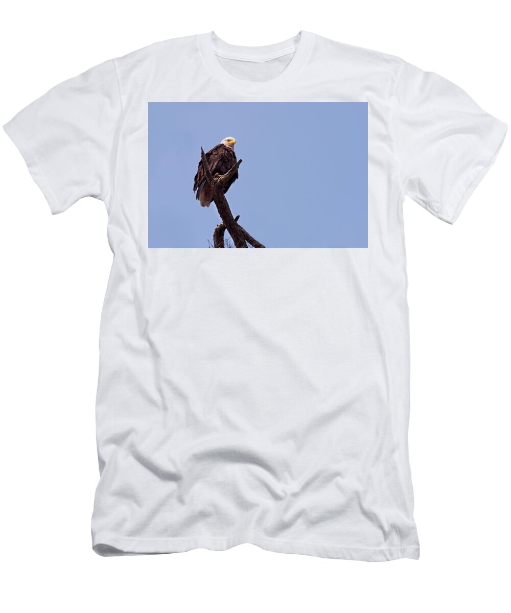 Bald Eagles T-Shirt featuring the photograph Eagle's Perch by David Lunde