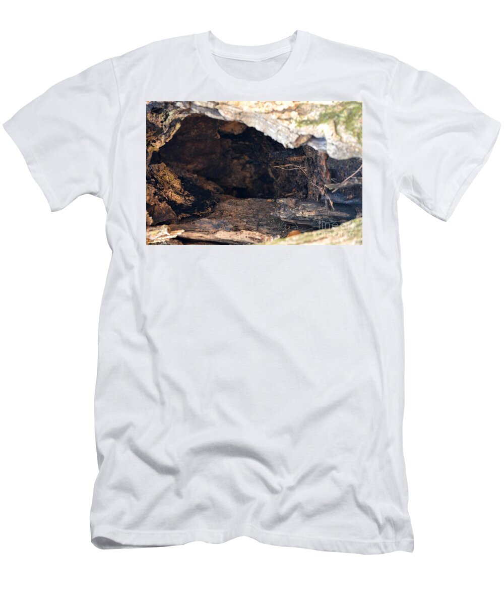 Earthen Abstract T-Shirt featuring the photograph Earthen Abstract by Maria Urso