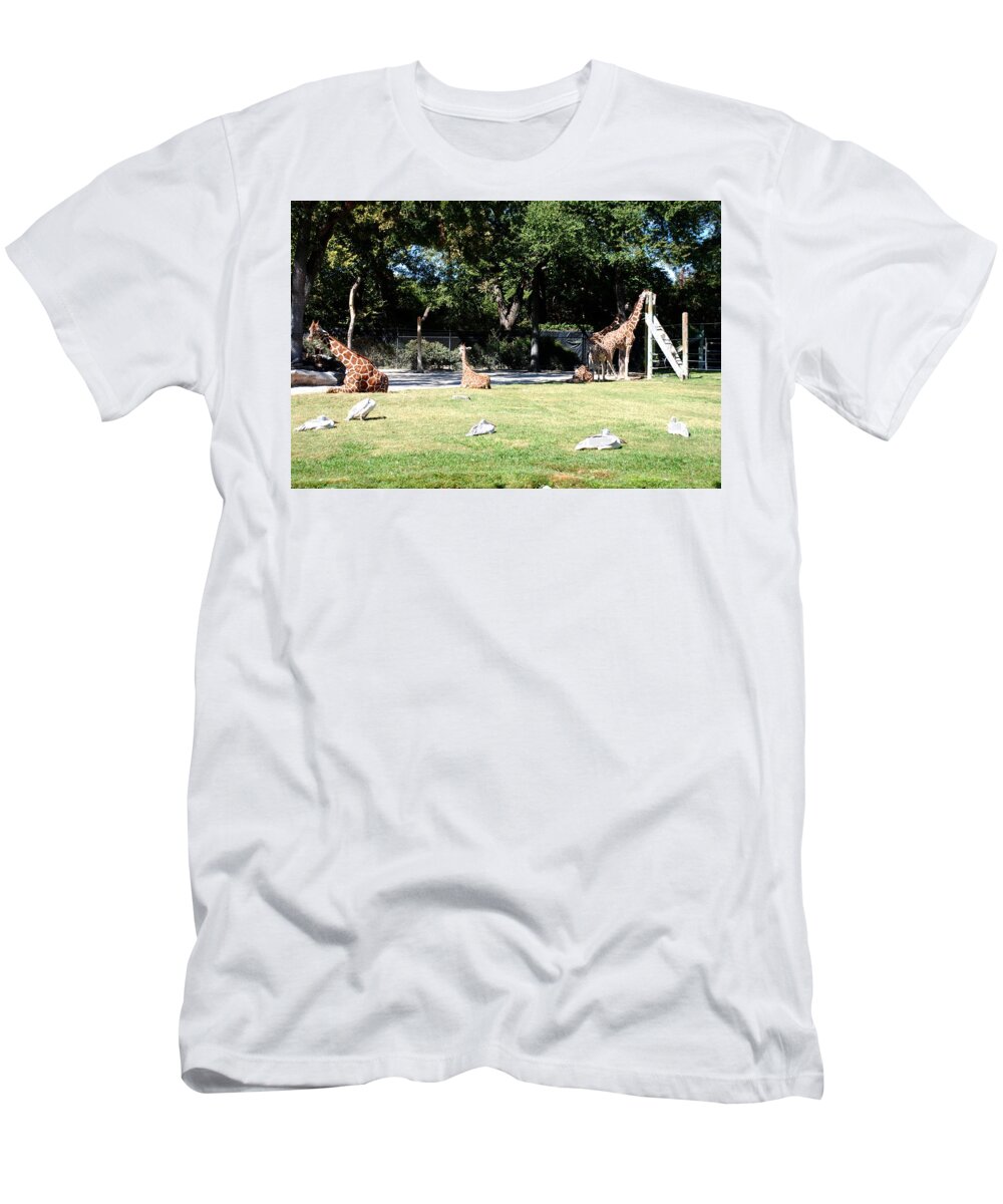 Ft. Worth T-Shirt featuring the photograph Easy Sunday Afternoon by Kenny Glover