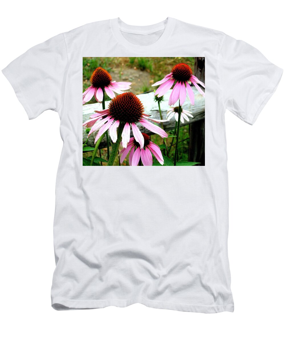 Echinacea T-Shirt featuring the photograph Echinacea Photograph by Kimberly Walker