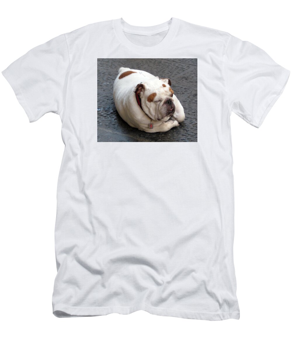 Florence T-Shirt featuring the painting Eduardo of Firenze dog by Lisa Boyd
