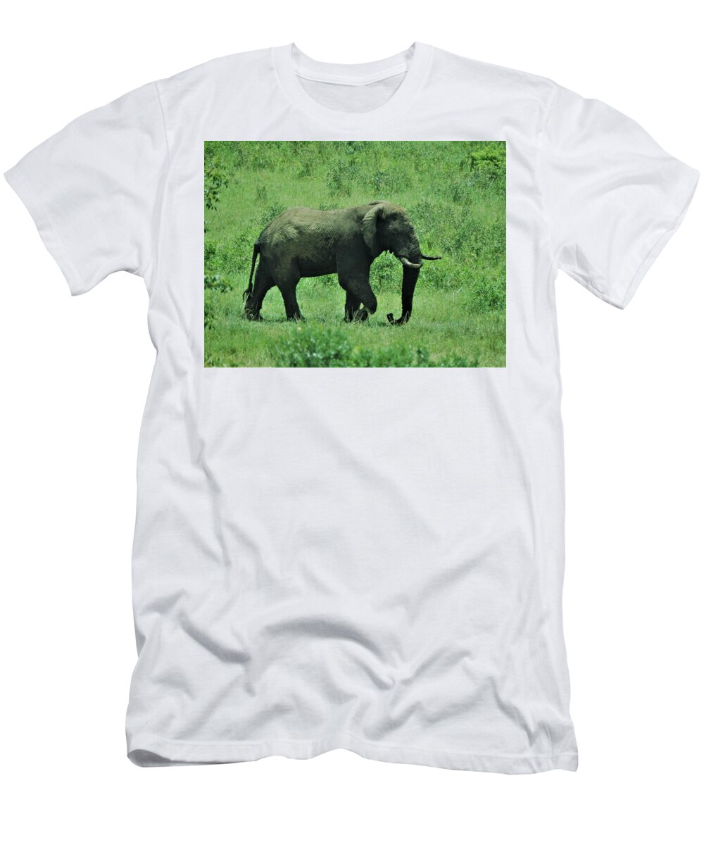 Elephant T-Shirt featuring the photograph Elephant Walks by Vijay Sharon Govender
