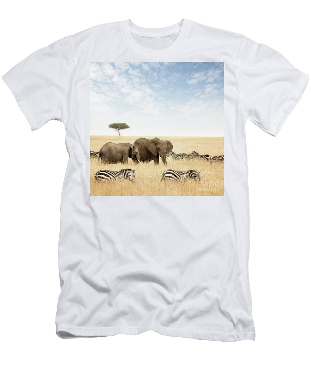 Elephant T-Shirt featuring the photograph Elephants and zebras in the Masai Mara by Jane Rix