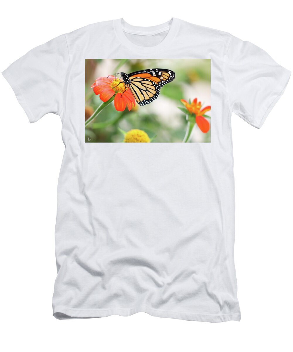 Butterfly T-Shirt featuring the photograph End of Summer Flight by Mary Anne Delgado