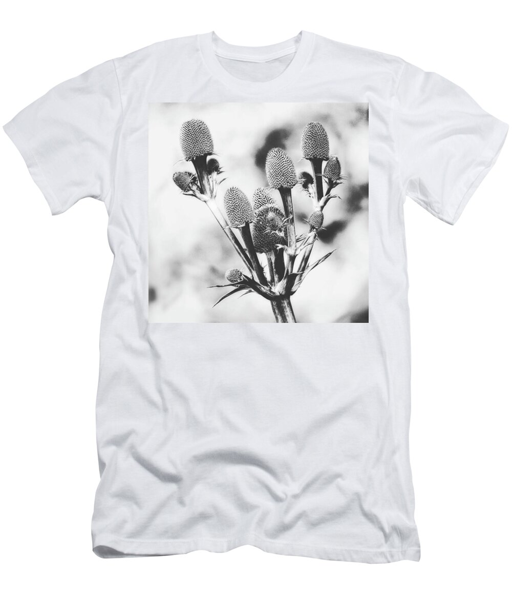 Beautiful T-Shirt featuring the photograph Eryngium
#flower #flowers by John Edwards