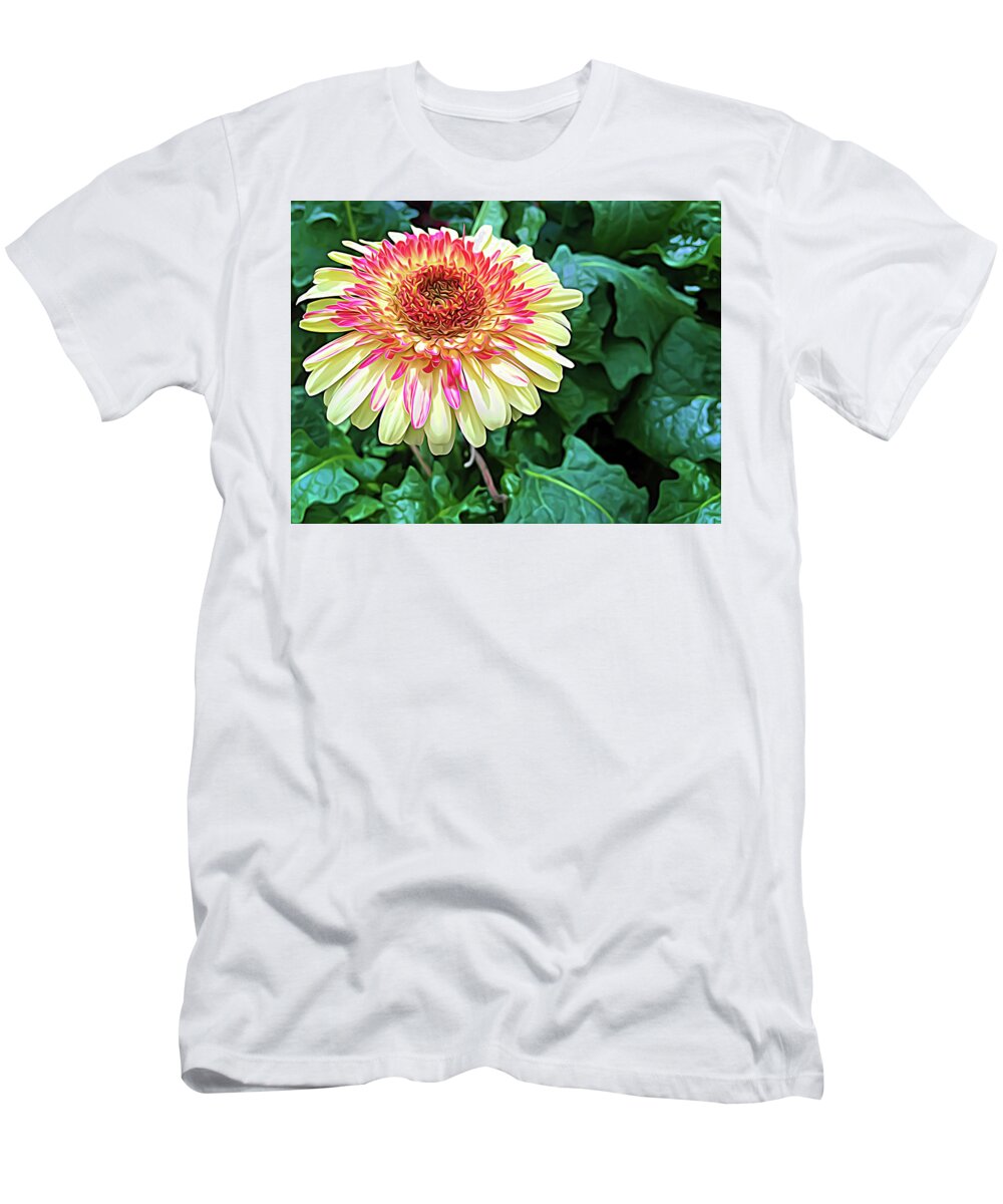 Gerbera Daisy T-Shirt featuring the photograph Expressionalism Gerbera Daisy by Aimee L Maher ALM GALLERY