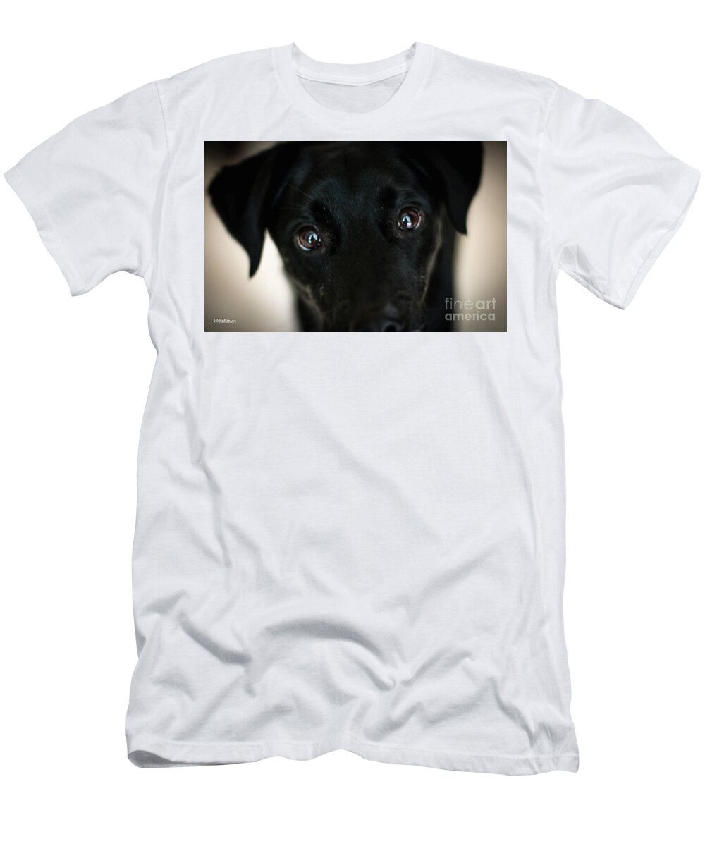 Eyes T-Shirt featuring the photograph Eyes are Windows to the Soul by Veronica Batterson