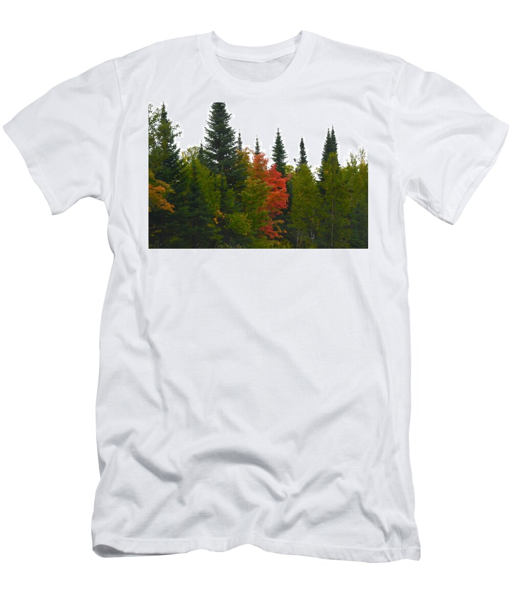 Color T-Shirt featuring the photograph Fall Colors Are Starting by Hella Buchheim