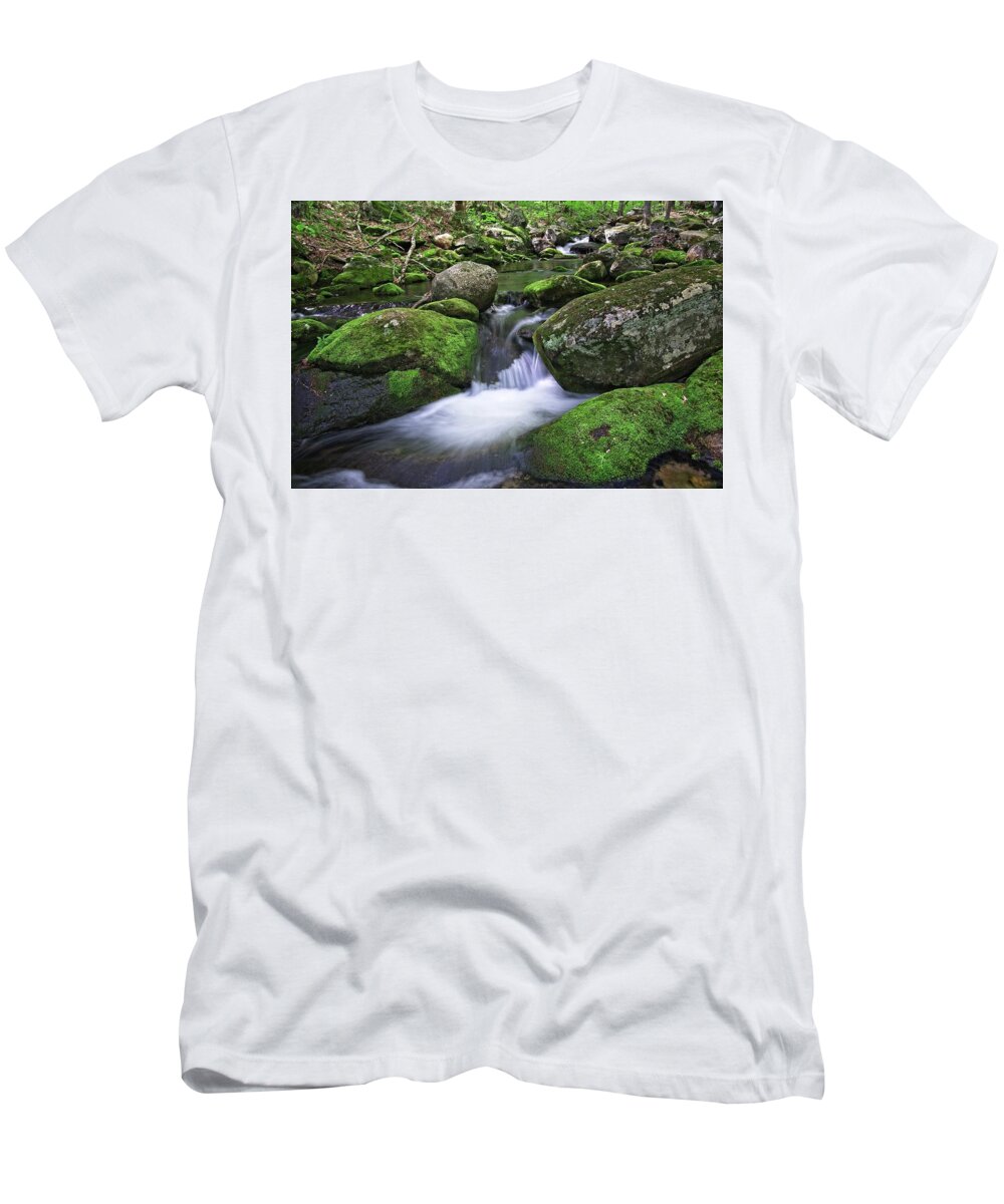 Waterfall T-Shirt featuring the photograph Falls Brook Rushes by Allan Van Gasbeck