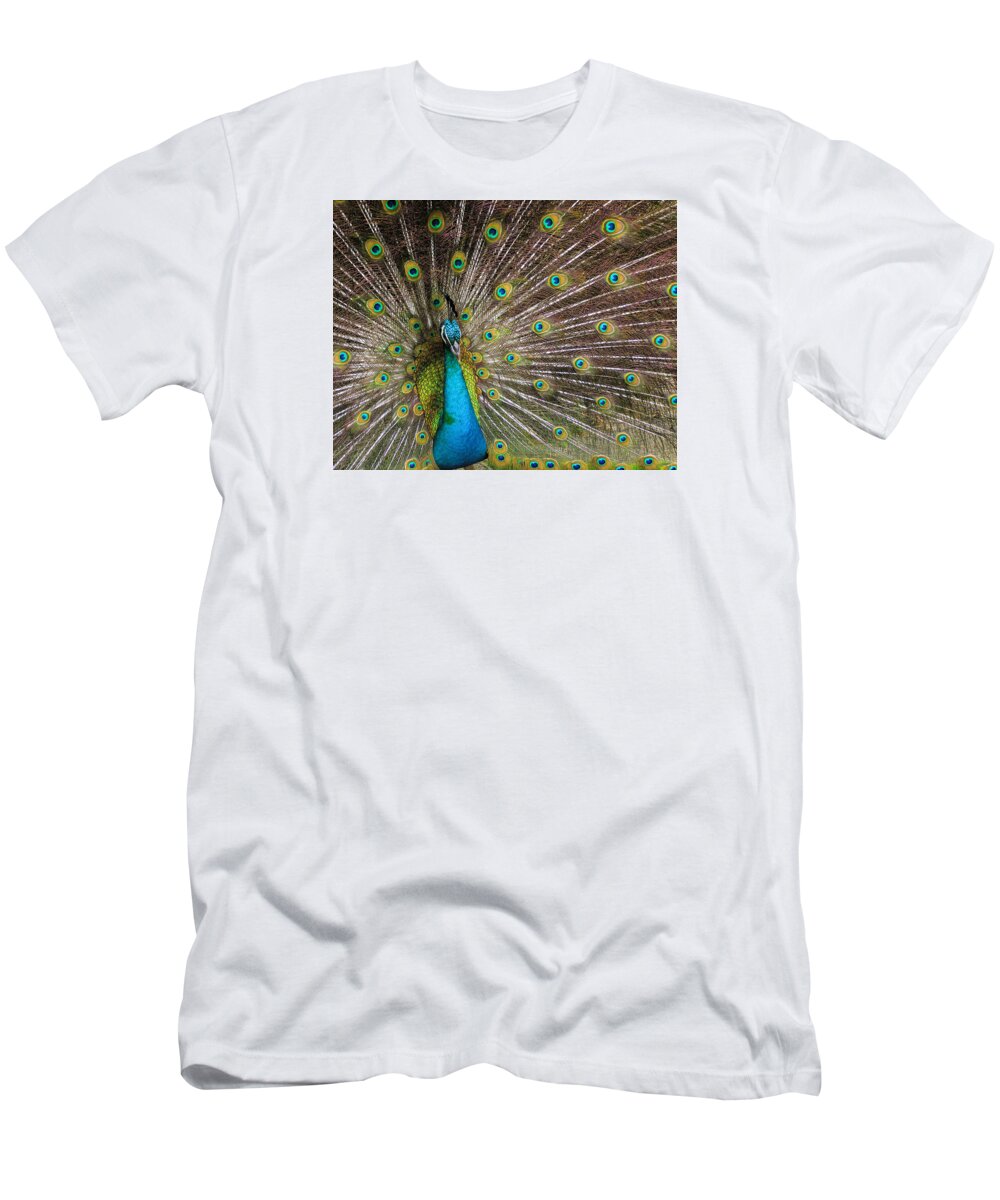 Avian T-Shirt featuring the photograph Fanfare by Alana Thrower