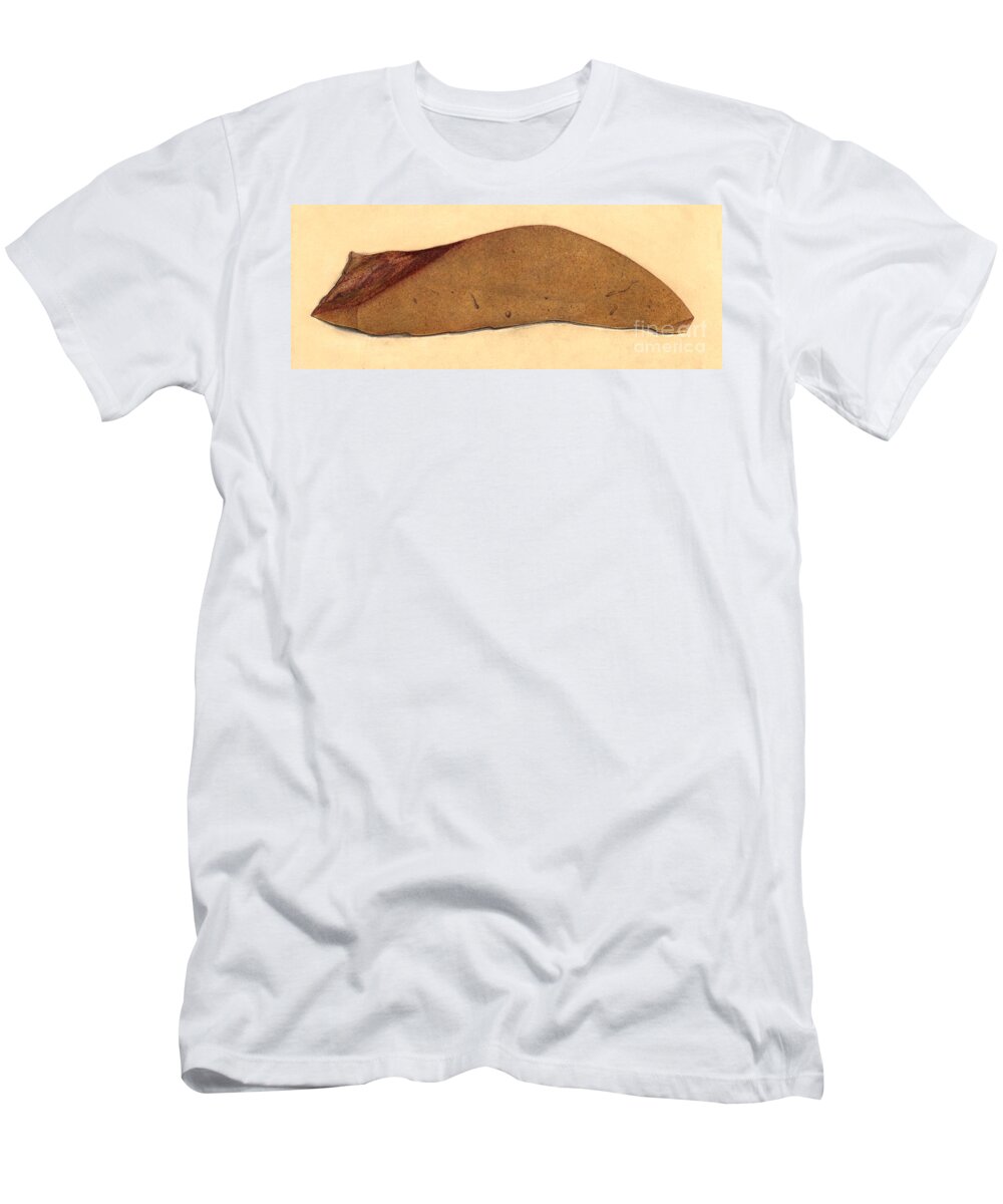 Historic T-Shirt featuring the photograph Fatty Liver, Pathology, Illustration by Wellcome Images