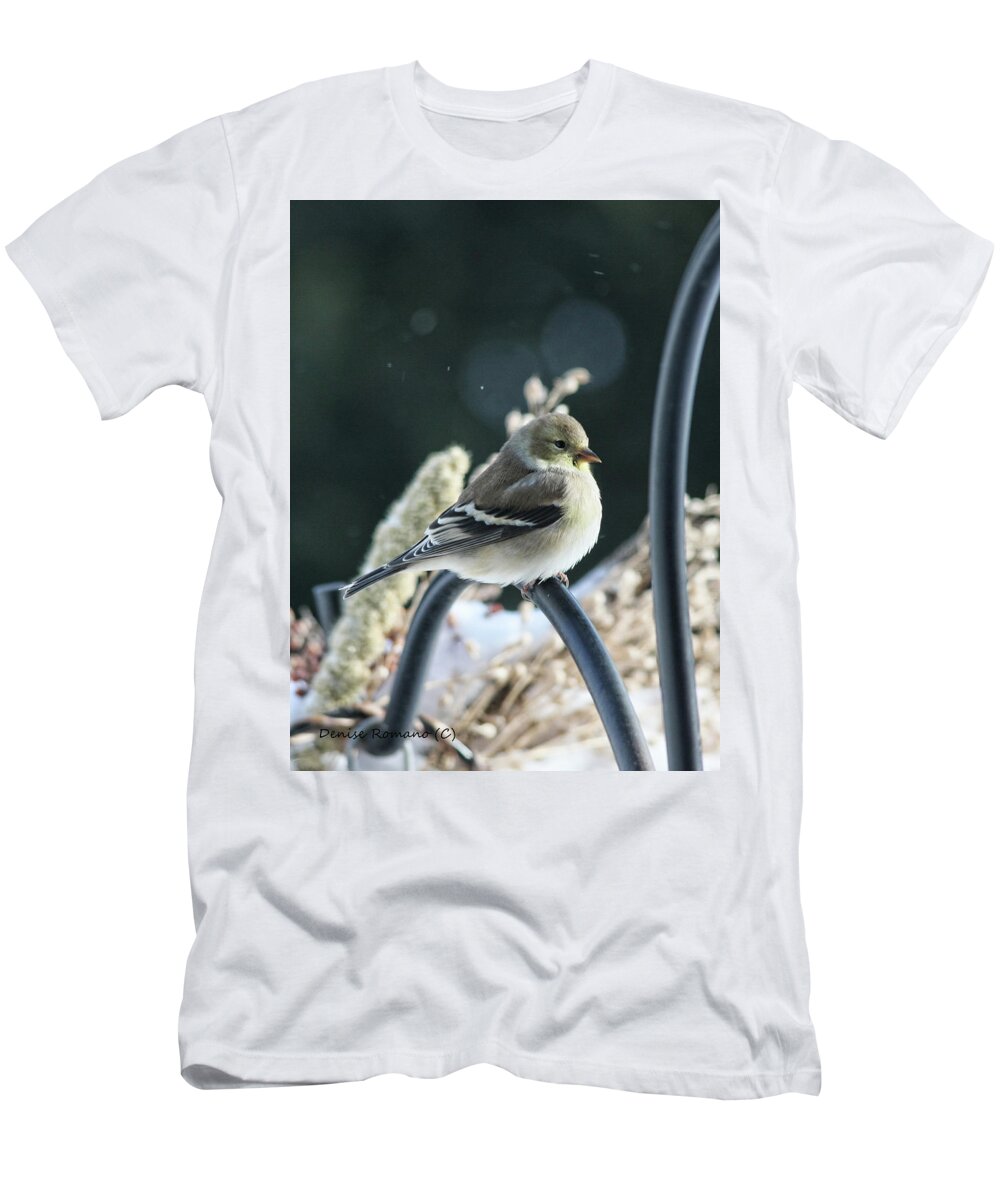 Female Goldfinch Bird Winter Snow Country T-Shirt featuring the photograph Female Goldfinch by Denise Romano