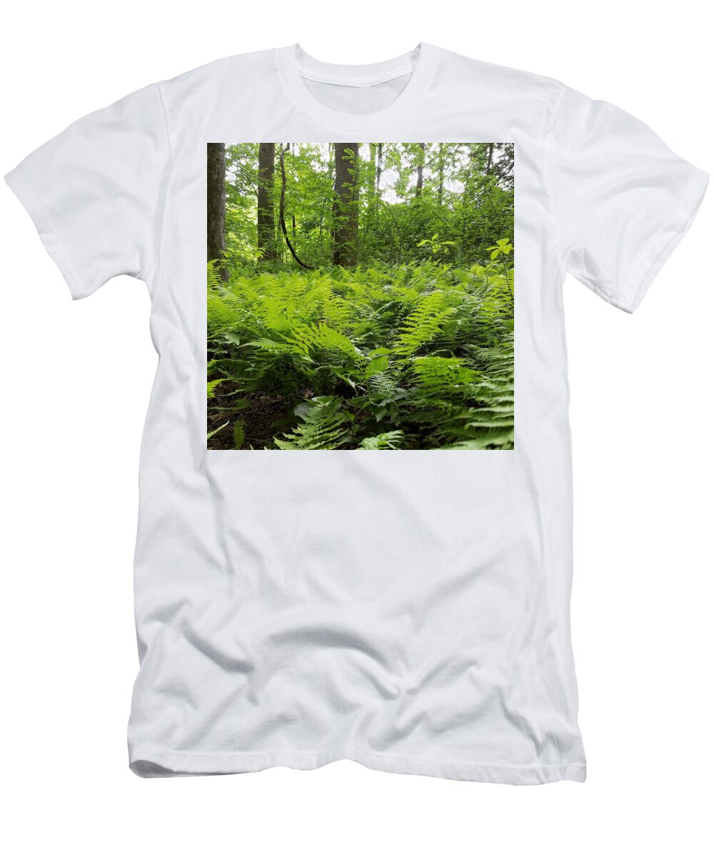 Ferns T-Shirt featuring the photograph Fern Woods by Vic Ritchey